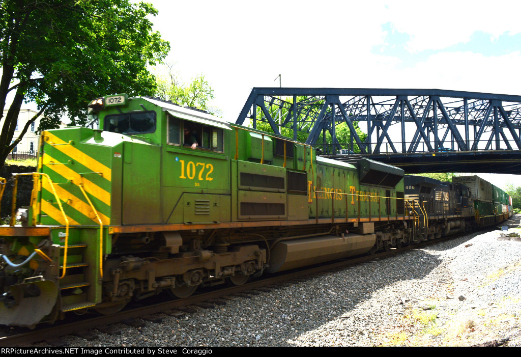  "NS 1072  "GLOWWORM CLOSE UP"